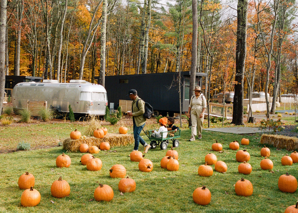 Pumpkin patch on the lawn of AutoCamp Catskills