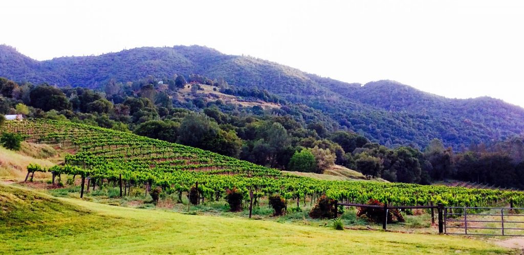 Butterfly Creek Winery