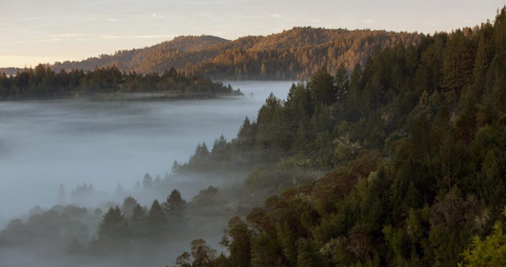 Mountain overlook with mist near AutoCamp Sonoma